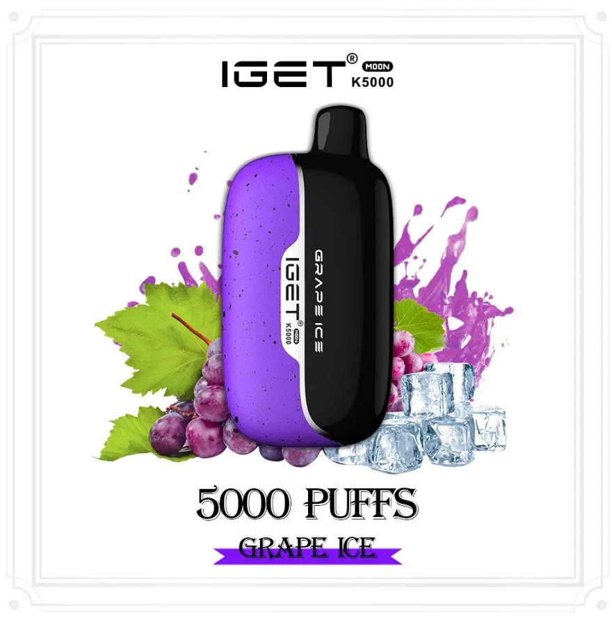 2025 Hot Sale IGET Moon 5000 Puffs Grape Ice Disposable Vape Online Purchase 2