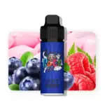 Blueberry Raspberry Bubble Gum Disposable Vape Pen Original IGET Bar Plus 6000 Puffs (4)