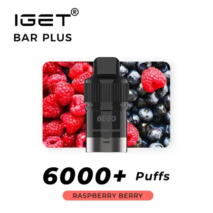 IGET Bar Plus Prefilled 6000 Puffs Replacement Pod Disposable Vape (12)