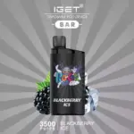 Iget Bar 3500 Puffs Blackberry Ice Super High Quality Disposable Vape Pen (1)