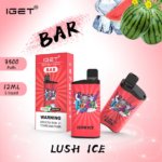 Iget Bar 3500 Puffs Lush Ice 5% Nicotine Low MOQ Disposable Vape Pen In Stock (6)